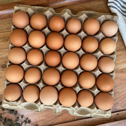 Amish Brown Large Eggs